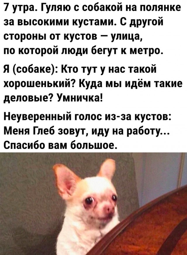 Так себе картинки 07.03.23