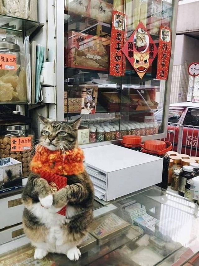 Картинок разной степени @банутости псто.