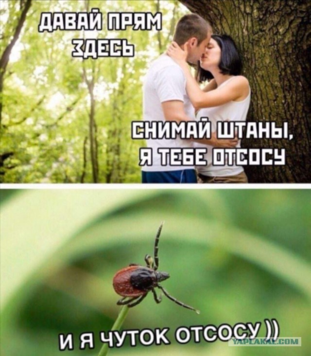Мы ждём тебя