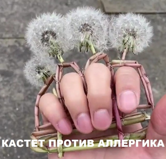 Народная меДИЧина 4005