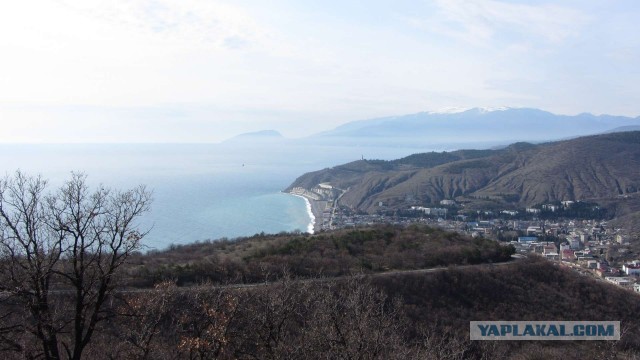 Крым в феврале или "Не стреляйте в белых лебедей!"