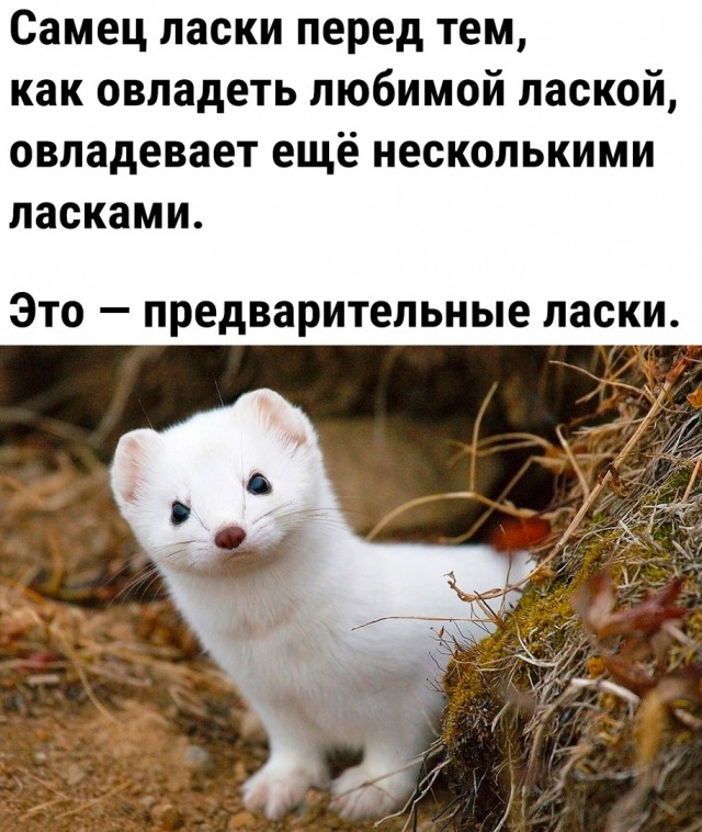 Так себе картинки 20.07.23