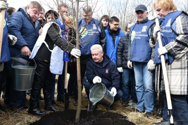 В Магнитогорске подросткам пришлось ждать зарплаты за озеленение парка в многочасовой очереди