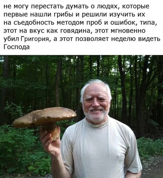 Нуштош 10.08.2023