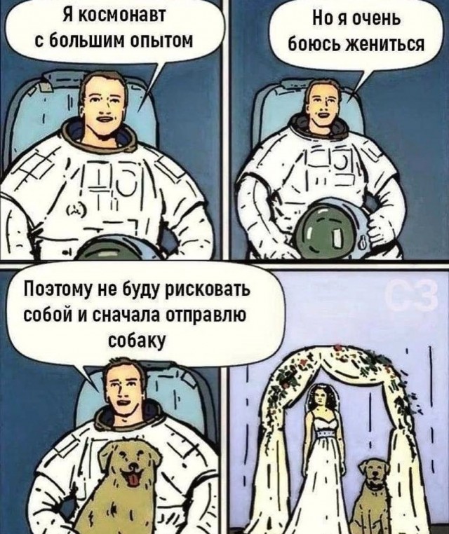 Отряд быстрого деградирования