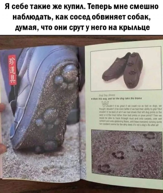 20 картинок