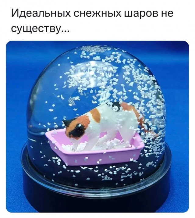Так себе картинки 27.12.23
