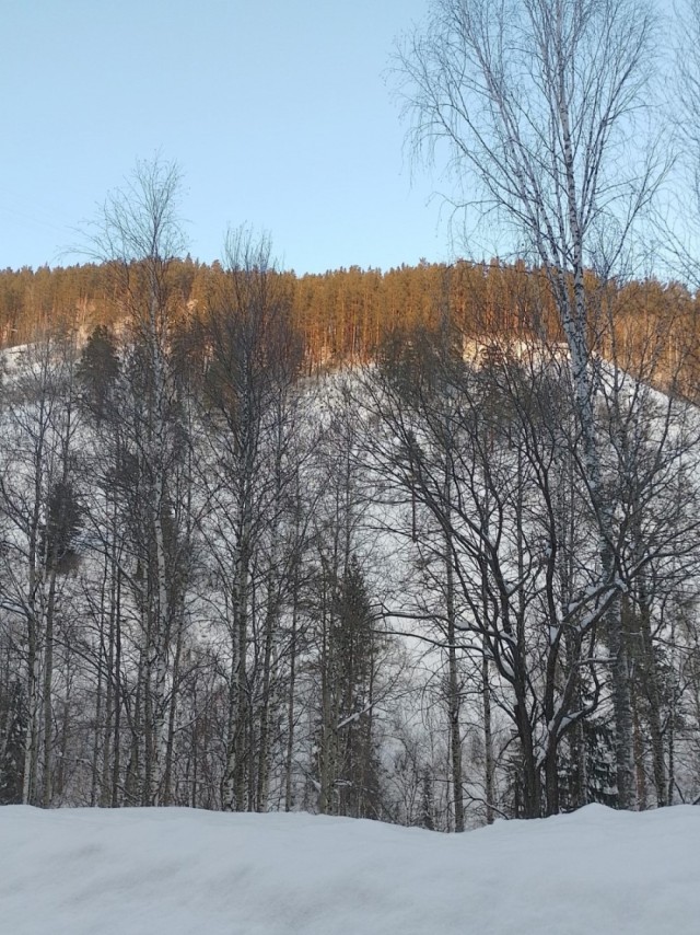 Зимняя рыбалка