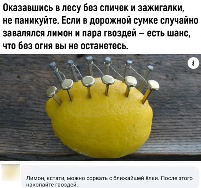 "Выжить одному в лесу" -  это просто
