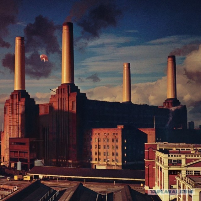 Музыка и музыканты: Pink Floyd "Animals"