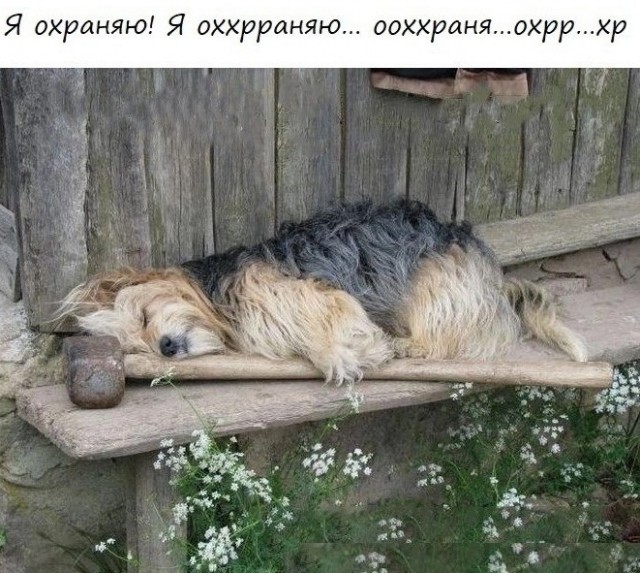 Весёлый полтишок 20.05.24
