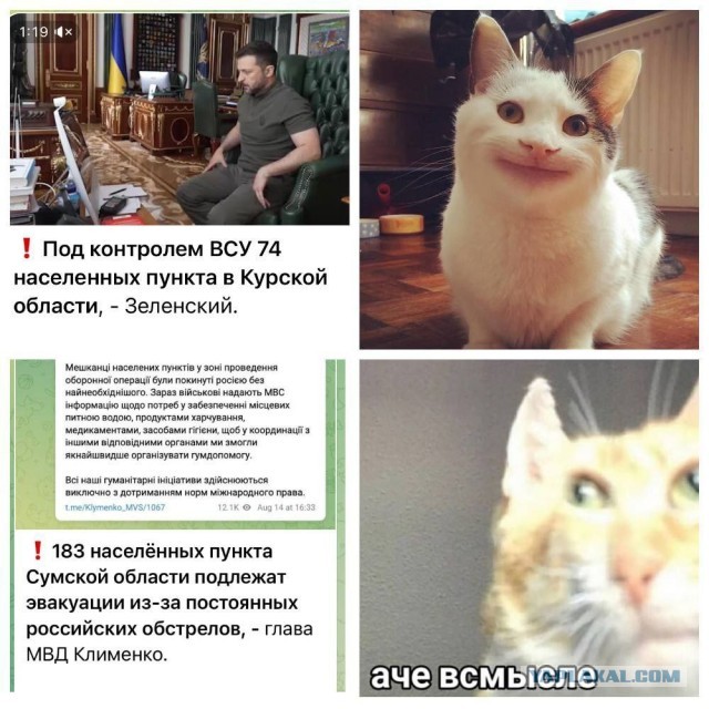 Исторический экскурс