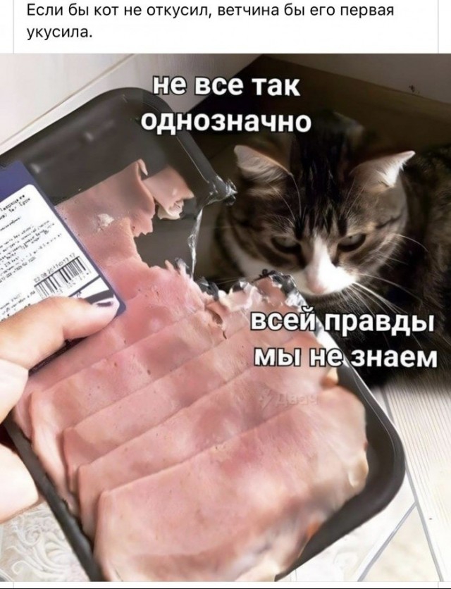 Группа "Чайф" выпустила песню "Донбасское лето"