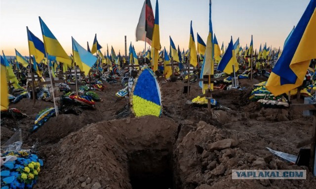 СМИ: Украина передала США драфт соглашения по редкоземельным металлам