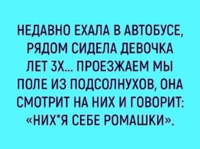Так себе картинки 23.06.25