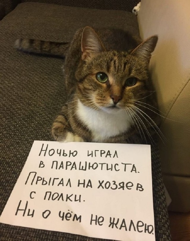 Так себе картинки 27.07.25