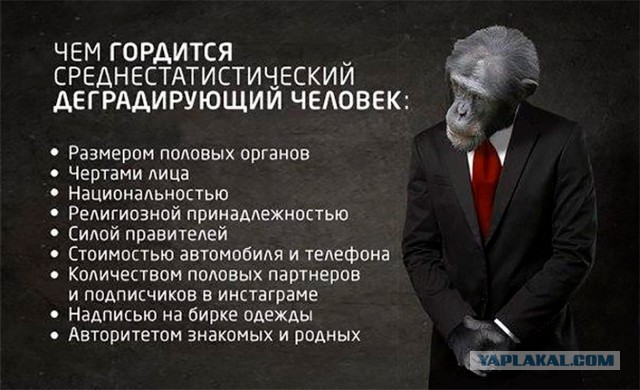 Мое веселое азиатское турне в поисках поперек 18+