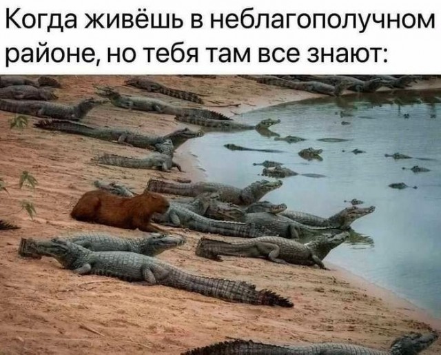 Так себе картинки 07.10.25
