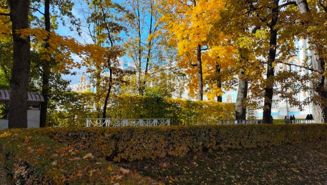 Осень в объективе.