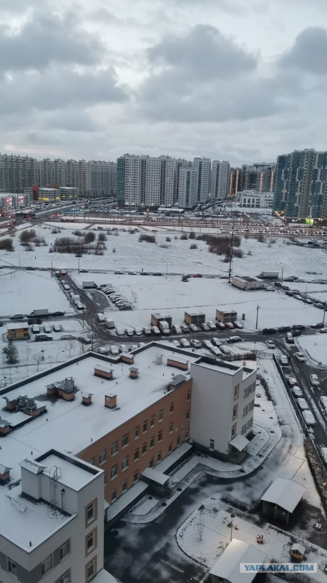 В Питере выпал первый снег