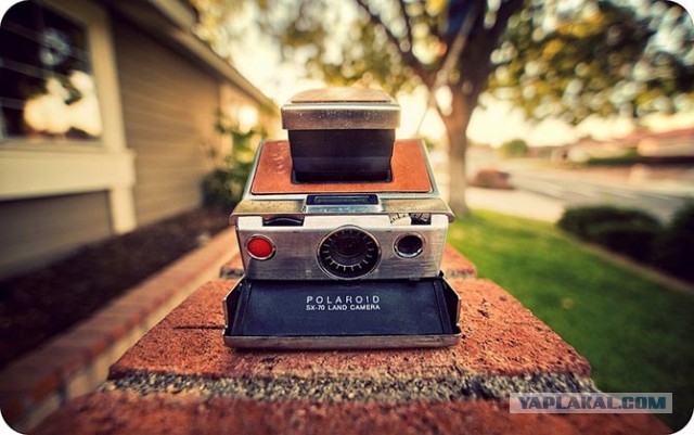 Факты о Polaroid
