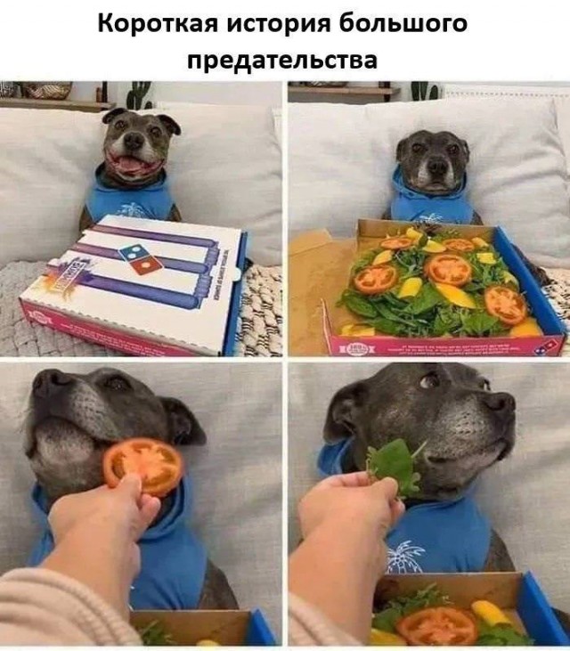 Субботние картинки