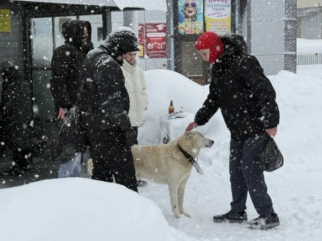 На Камчатке людей перевозит росгвардия