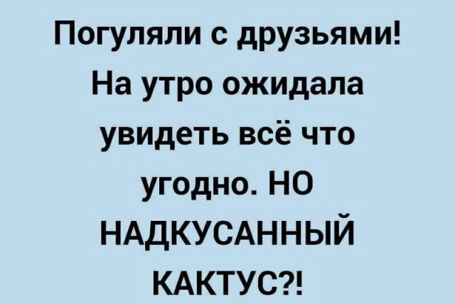 Картиночки, баянчики 04 февраля