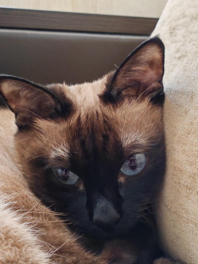 Машу ж вать! Наташа, помогите!