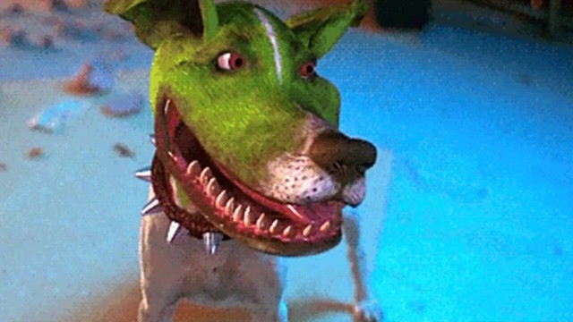 Dog breeds expertise