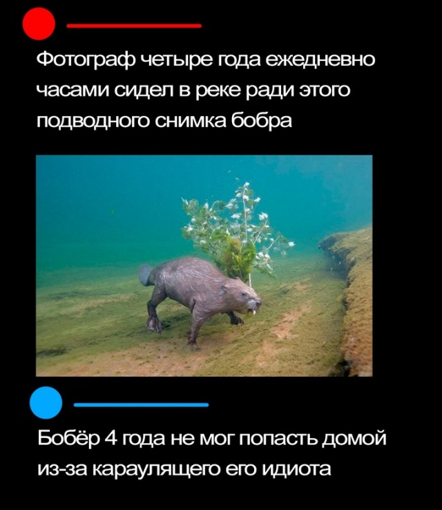 Картинки для деградации 168 (разной степени свежести)