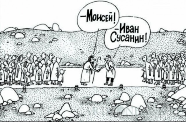 «Стыдно быть такой тупой в 50 лет».