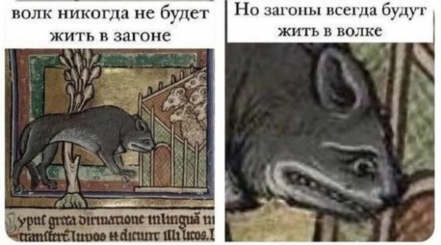 Картинки без критики