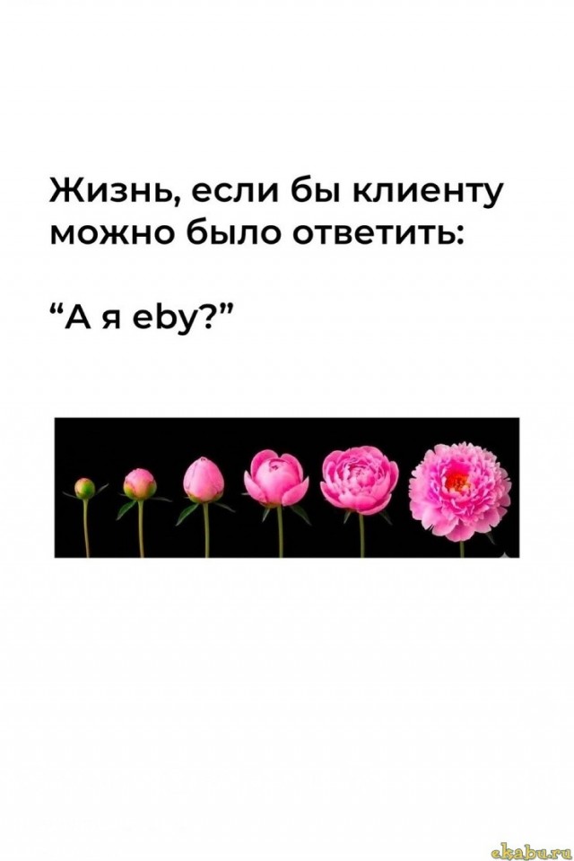 Так себе картинки 19.06.26