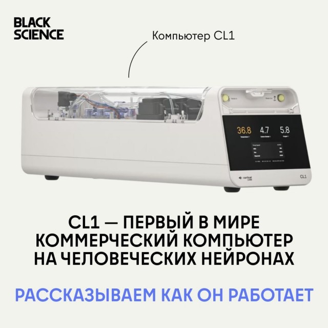 CL1: первый коммерческий биологический компьютер, работающий на человеческих нейронах.