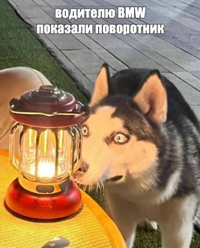 Картиночки, баянчики 25 июня