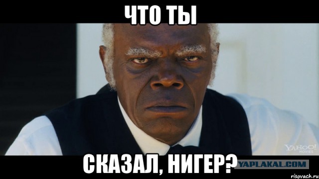 Собакочетверг 31.07.2014