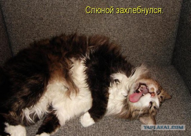 Чебуреки