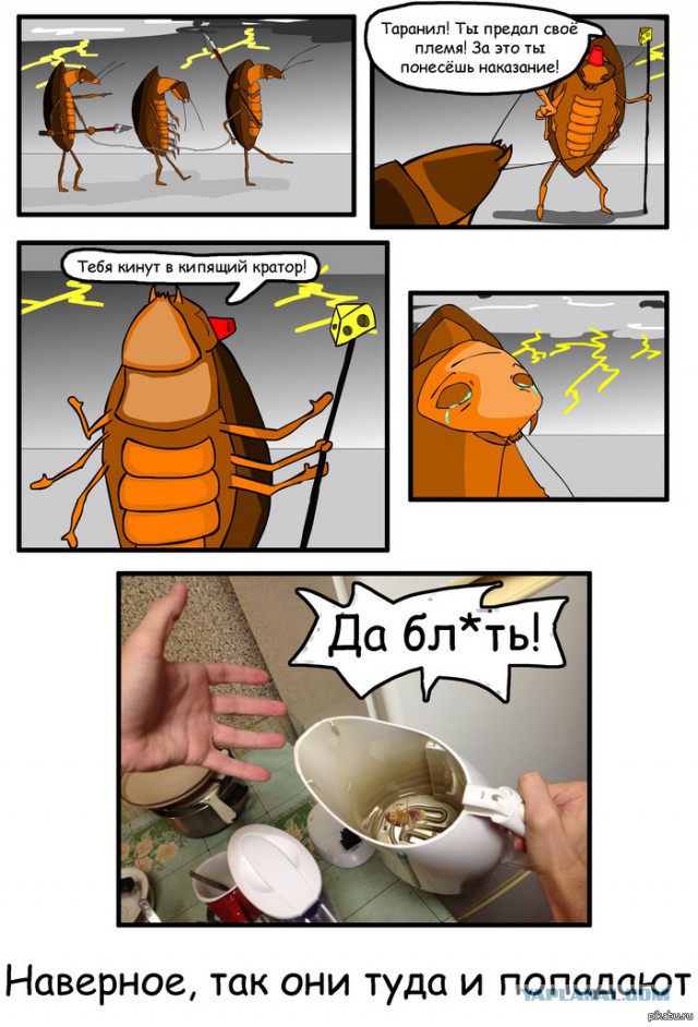 Общага