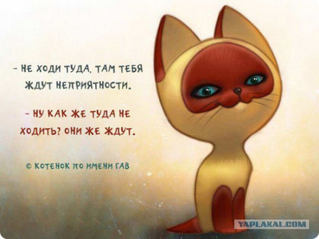 Чуток демотиваторов