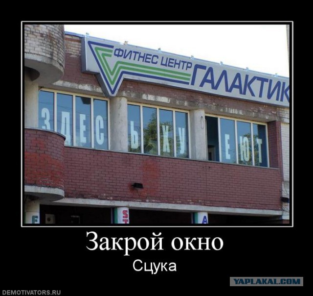 Демотиваторы дня