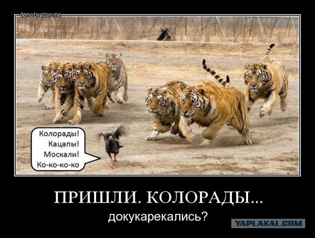 Паника на западенщине