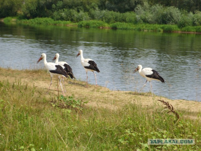 Самые глубокие реки мира