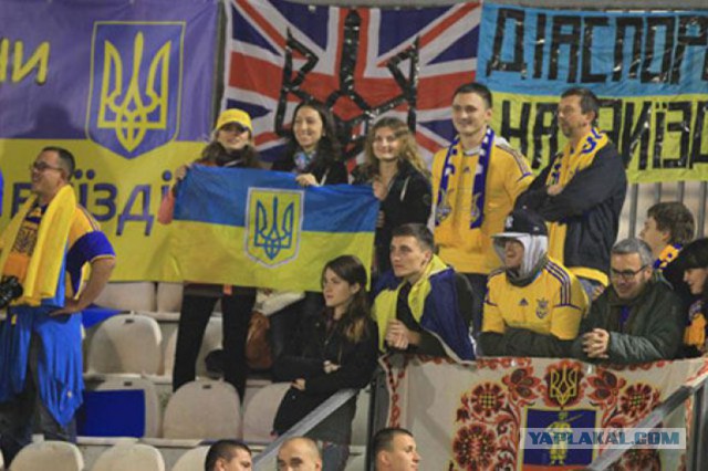 Польские фанаты избили украинских в массовой драке