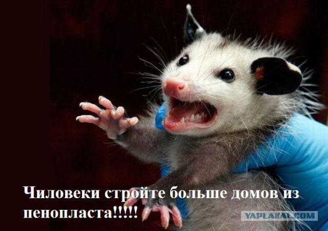 Как построить дешевый дом из пенопласта