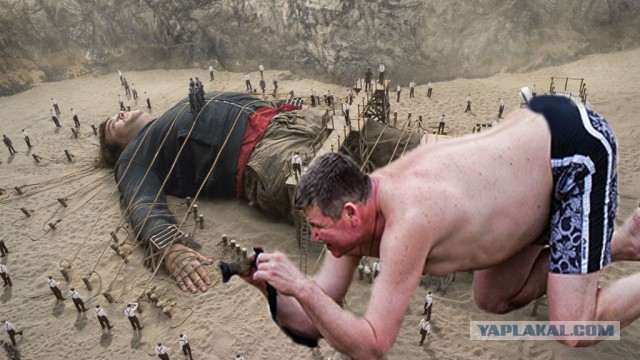 Жаба: Фотолюбитель