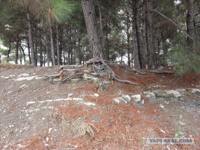 Вечерний Геленджик