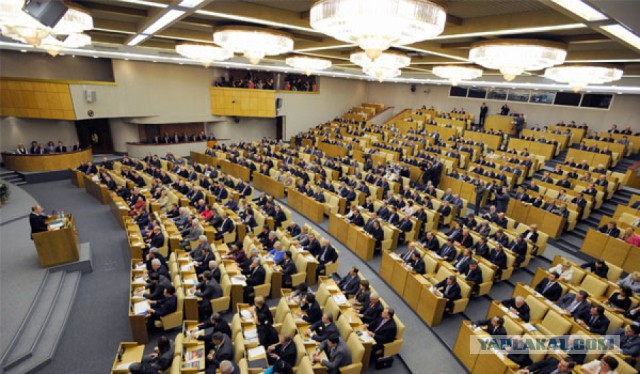 Этого кота убьют на ваших глазах за 5000 рублей