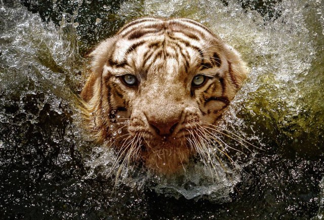 Подборка интересных и веселых картинок