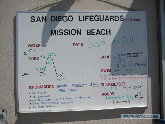 Из Калифорнии в Краснодар. Мнение американки о России